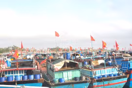Sắp có cơ chế hỗ trợ một lần sau đầu tư cho chủ đóng mới tàu cá xa bờ.​