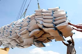 Giá gạo Việt Nam xuất khẩu đột ngột giảm