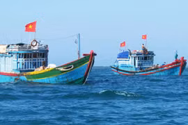 Ảnh minh họa