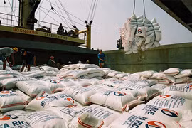 Về khả năng Thái Lan, Việt Nam cấp 500.000 tấn gạo cho Philippines