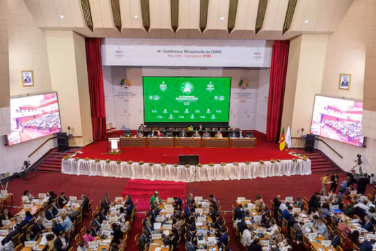 Các đại biểu tham dự cuộc họp lần thứ 14 của Tổ chức Thương mại Thế giới (WTO) tại Yaounde, Cameroon. Ảnh: Reuters.