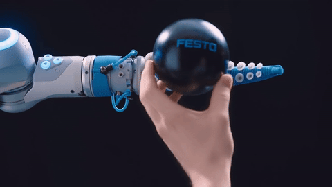 Robot được nghiên cứu bởi Festo - một công ty robot ở Đức lại có những cánh tay chuyển động giống với xúc tu bạch tuộc, giúp chúng uốn cong theo vật thể một cách dễ dàng.