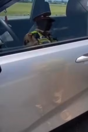 Không bằng lái, không giấy tờ, tài xế và chủ xe bị phạt hơn 118 triệu đồng