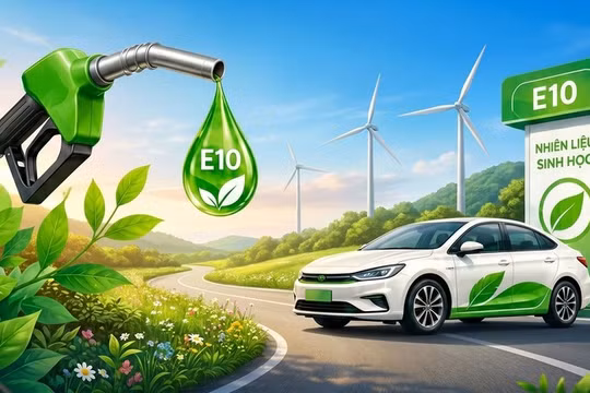 Cẩm nang cần đọc ngay khi sử dụng xăng E10