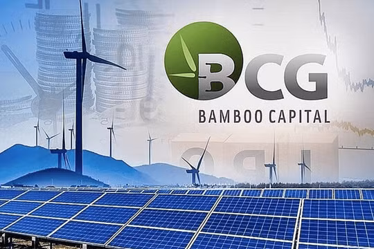 Từ doanh nghiệp nghìn tỷ đến hủy niêm yết: Điều gì xảy ra với Bamboo Capital?
