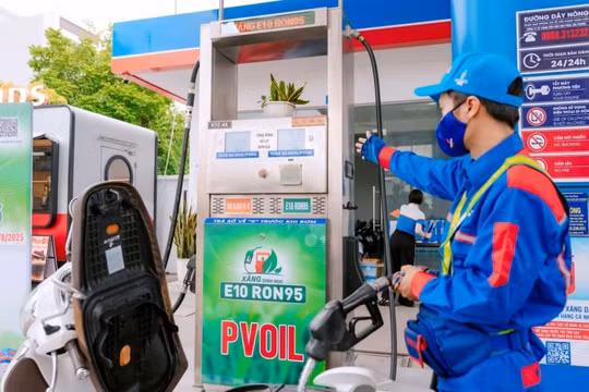 Bộ Công Thương: Hầu hết xe xăng tại Việt Nam tương thích xăng E10