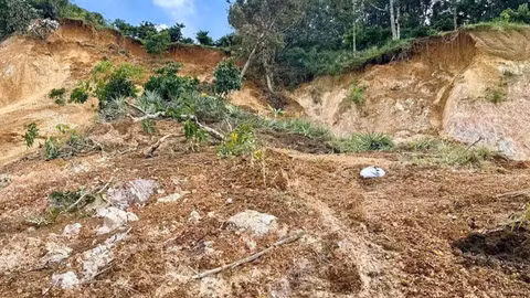 Mưa lớn dồn dập, cảnh báo sạt lở, sụt lún đất nguy hiểm ở Lâm Đồng và Đồng Nai