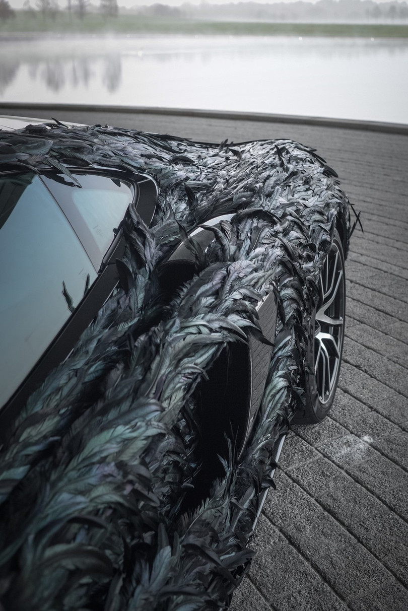 McLaren giải thích việc lựa chọn siêu xe 570GT để phủ lông vũ nhân tạo là bởi đây là sản phẩm phù hợp nhất cho những hành trình dài, như cách những chú chim thường hay di chuyển xuyên lục địa. Tuy nhiên, thời gian tới hãng sẽ thực hiện việc này với các mẫu siêu xe khác.