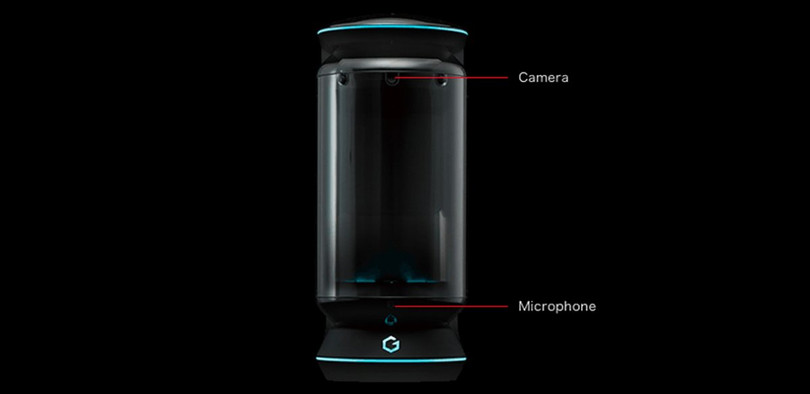 Trợ lý ảo 2.500 USD ảnh hưởng tới dân số Nhật Bản ảnh 3