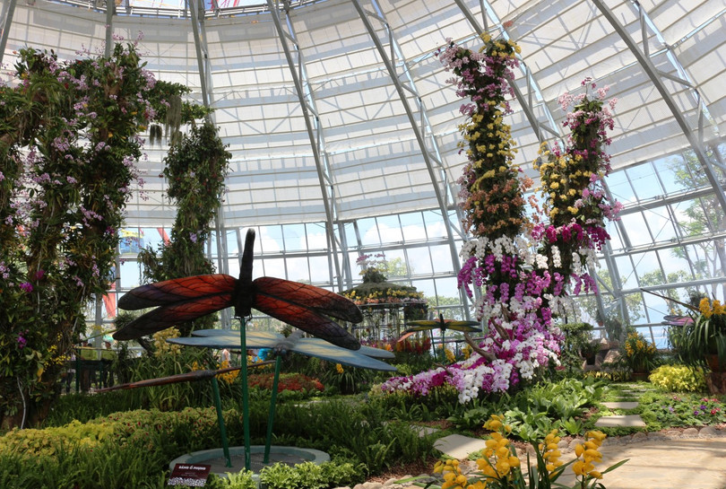 Thiên đường Hoa Lan khoe sắc hàng trăm loài lan rừng quý hiếm