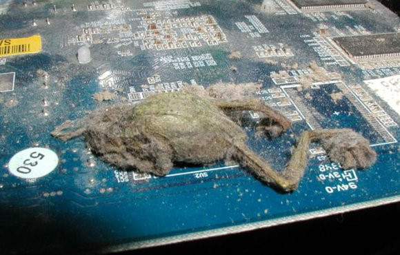 Nhung buc hinh cong nghe khien nguoi xem phai rung minh hinh anh 3