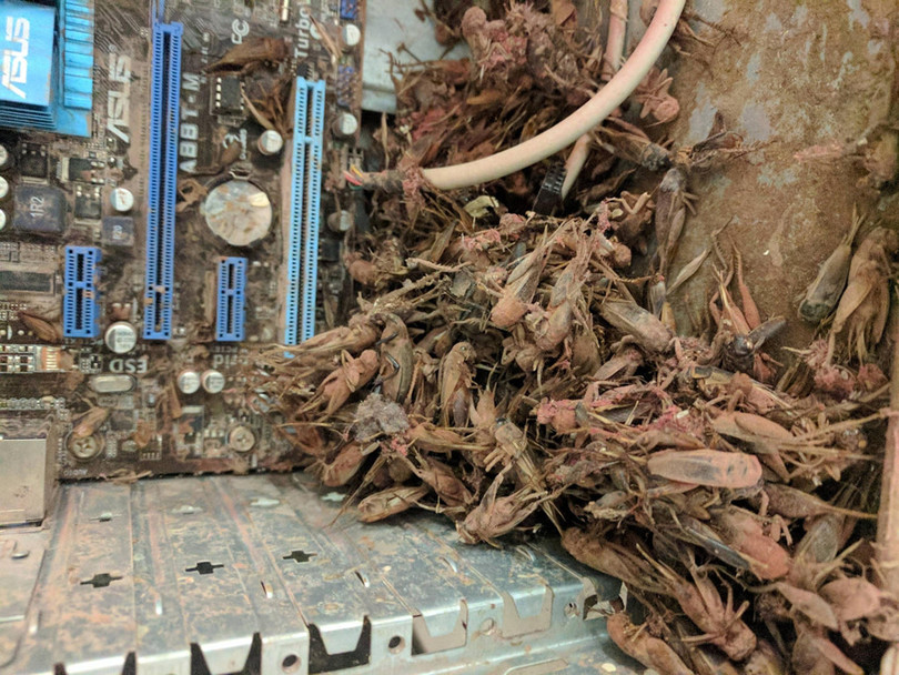 Nhung buc hinh cong nghe khien nguoi xem phai rung minh hinh anh 7