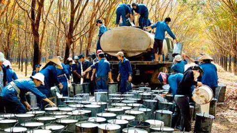  VRG đã “gạt” sang một bên đề án tái cơ cấu của Chính phủ