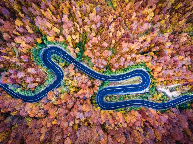 Một bức ảnh trong danh sách