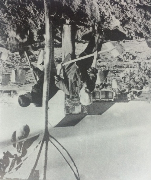 Những hình ảnh về cuộc đời bình dị của Bác ảnh 15