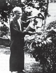 Những hình ảnh về cuộc đời bình dị của Bác ảnh 18