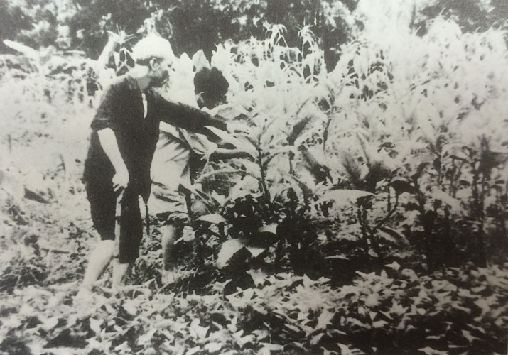 Những hình ảnh về cuộc đời bình dị của Bác ảnh 8