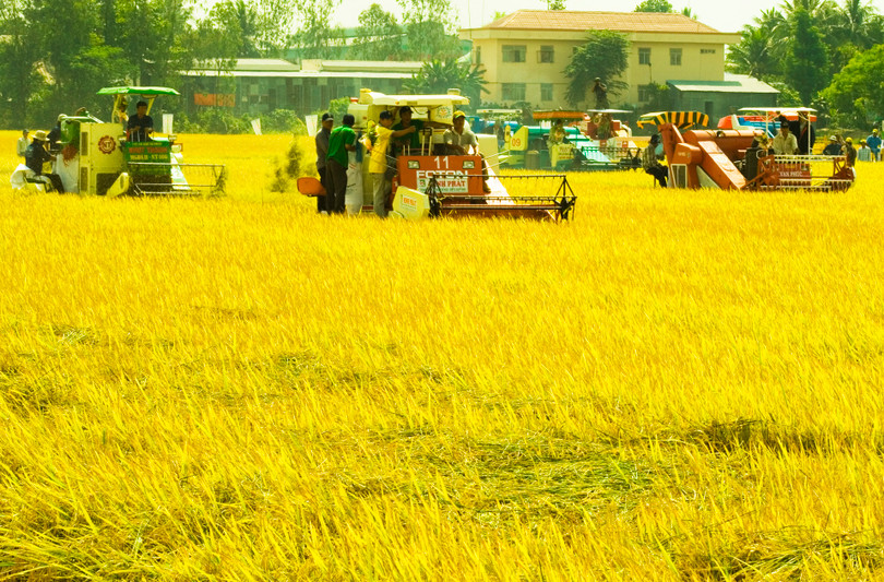 Ảnh minh họa. Nguồn Internet