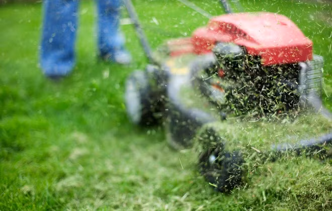 Cỏ sẽ được xử lý để chuyển hóa thành nhiên liệu nhanh hơn. Ảnh: Engadget.