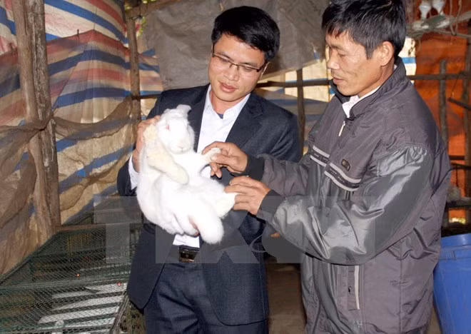 Ảnh minh họa. Nguồn Internet