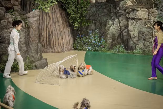 Ảnh hiếm về trò giải trí cho người giàu ở Triều Tiên - Ảnh 8.