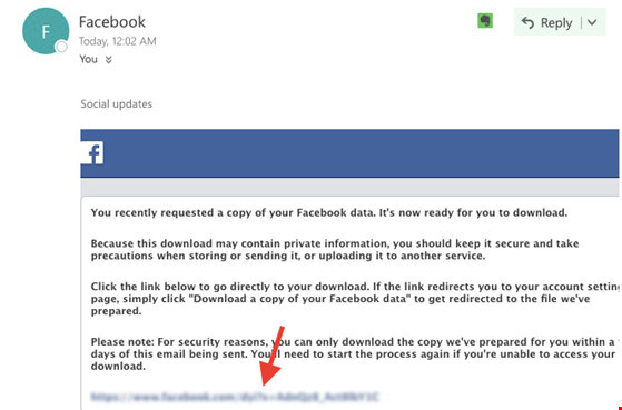 Mẹo sao lưu toàn bộ dữ liệu trên Facebook ảnh 3