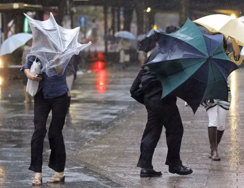 Ảnh minh hoạ: Internet