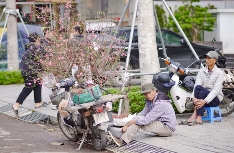 Nhiều tiểu thương kinh doanh đào, quất tại Hà Nội đứng ngồi không yên vì hàng bán ra nhỏ giọt.