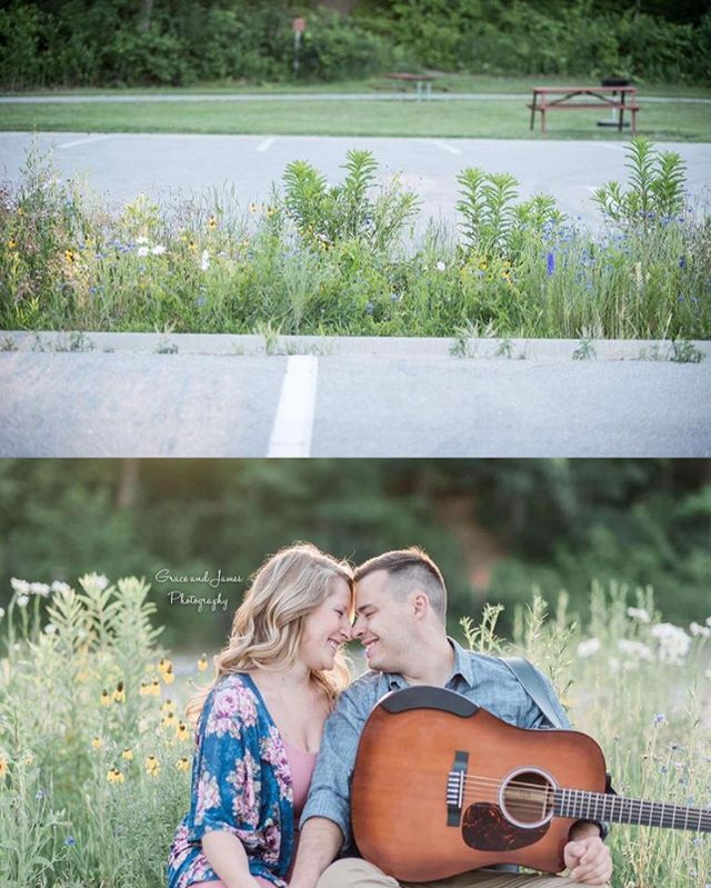 Bối cảnh tuyệt đẹp, nhưng trên thực tế chỉ là bụi cỏ ven đường.