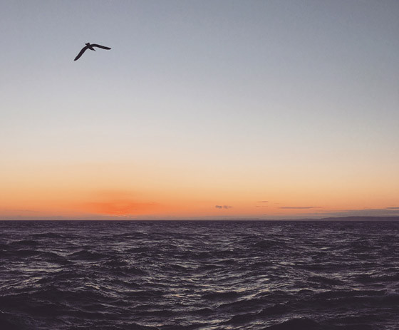 Đối với những người chụp ảnh không chuyên, chúng ta thường vô tình làm ảnh thêm rắc rối với nhiều chi tiết vật thể. Hãy thử làm điều ngược lại và cảm nhận sự khác biệt.