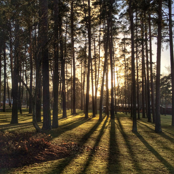 5 mẹo đơn giản để có được ảnh chụp long lanh “ngoài mong đợi“ ảnh 7