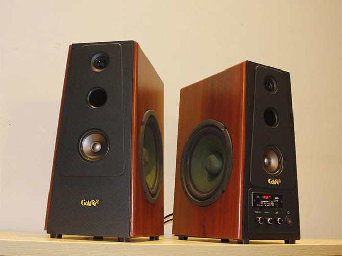 Loa Việt GoldSound W120