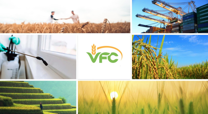 Hoạt động của VFG chia làm 2 mảng chính hoạt động độc lập: dịch vụ khử trùng và kinh doanh nông dược.