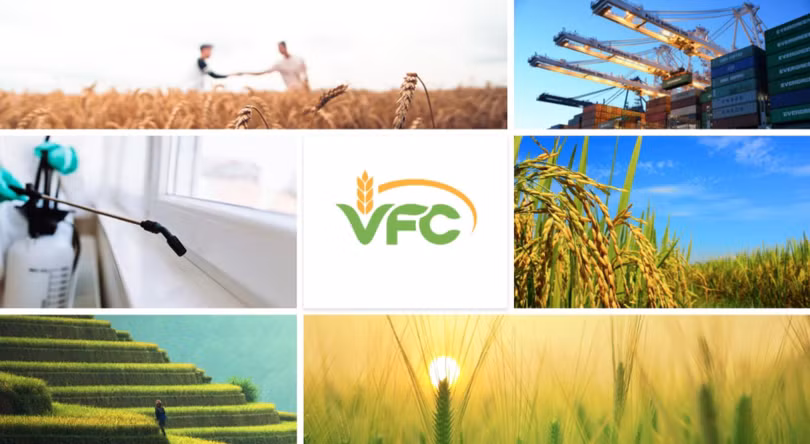 Hoạt động của VFG chia làm 2 mảng chính hoạt động độc lập: dịch vụ khử trùng và kinh doanh nông dược.