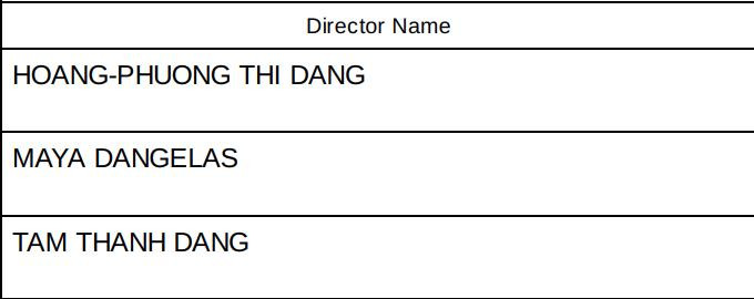 Cơ cấu ban giám đốc của U.S Dovehill Inc.