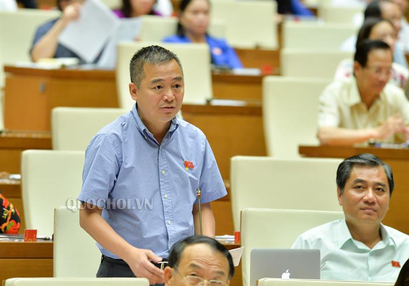 Đại biểu Nguyễn Lân Hiếu, đoàn An Giang