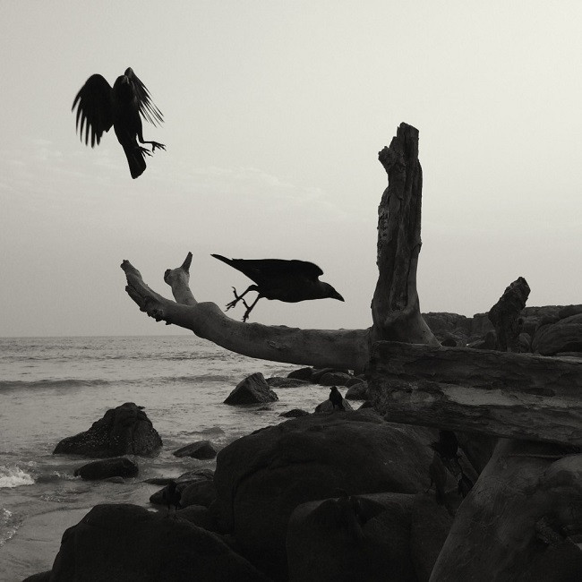 10 mẹo chụp ảnh đổ bóng với smartphone ảnh 5