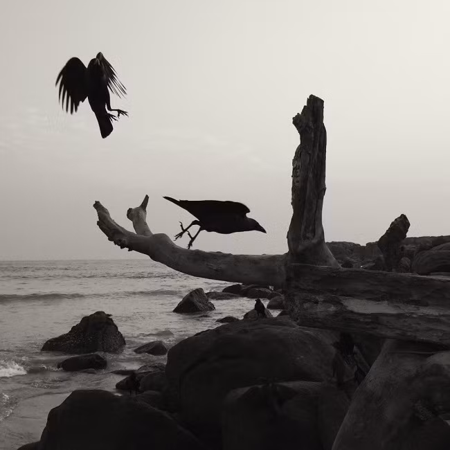 10 mẹo chụp ảnh đổ bóng với smartphone ảnh 5