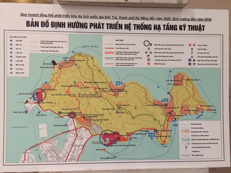 Phó Thủ tướng Vũ Đức Đam nói về quy hoạch bán đảo Sơn Trà ảnh 1