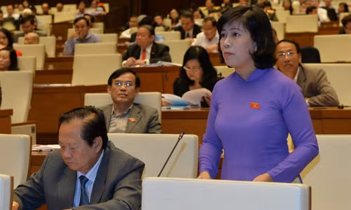 Đại biểu Nguyễn Thị Lệ Thuỷ (Bến Tre) đề nghị người gửi tiền được trả vượt hạn mức quy định của bảo hiểm tiền gửi hiện tại trường hợp ngân hàng phá sản. 