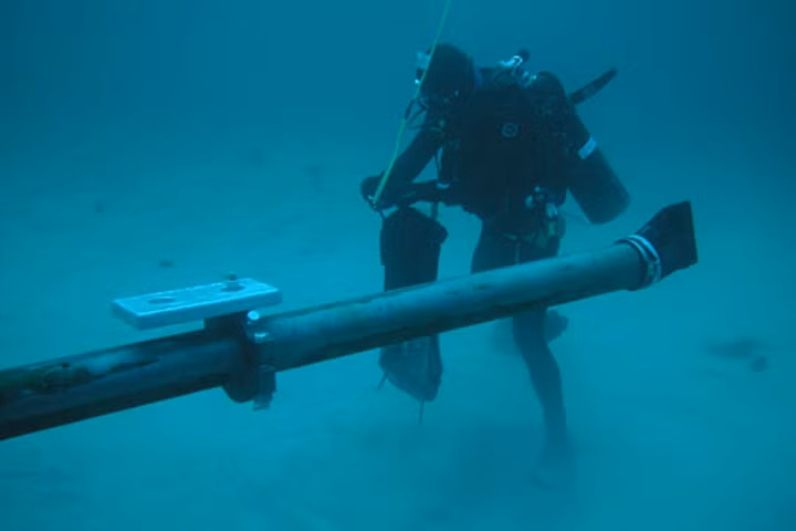 Ảnh minh họa. Nguồn Internet