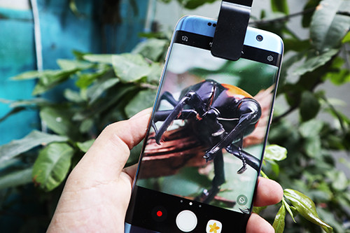 Độ ống kính chụp macro cho smartphone ảnh 4
