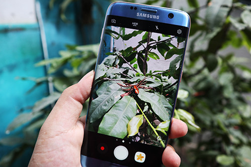 Độ ống kính chụp macro cho smartphone ảnh 3