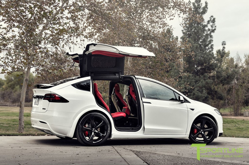 Trên thực tế, một chiếc Tesla Model X mới có giá 115.500 USD. Chủ xe có thể chi thêm tiền cho những tùy chọn khác như ghế ngồi bọc da đen (2.500 USD), một số chi tiết làm từ sợi carbon (1.000 USD), bộ sạc công suất cao (1.500 USD), hệ thống lái tự động Autopilot (2.500 USD), gói nội thất cao cấp (4.500 USD).