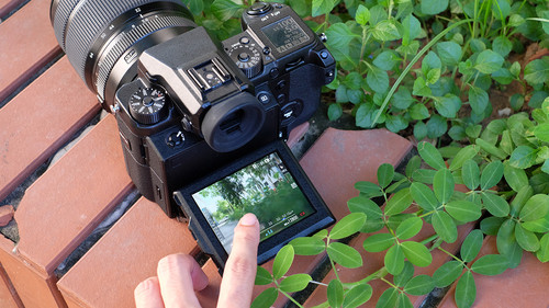 Fujifilm GFX 50S - máy ảnh chuyên nghiệp cho cả dân chơi ảnh 7