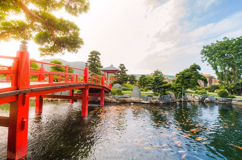 Với những du khách đặc biệt yêu thích không khí thiền tịnh, Vườn Nhật sẽ là tiên cảnh để tĩnh lặng tận hưởng từng phút giây của một cái Tết ngọt ngào.