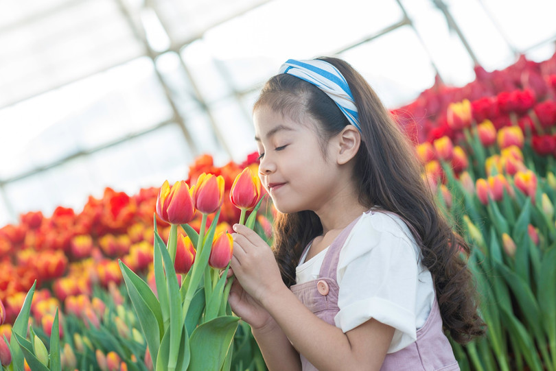 Mùa xuân đến trong những cánh hoa rực rỡ, trong nụ cười và trong những phút giây bình yên vô tận.