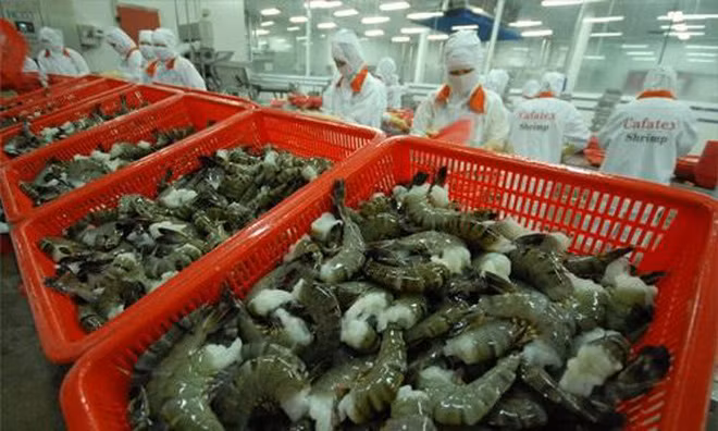 Ảnh minh họa. Nguồn Internet