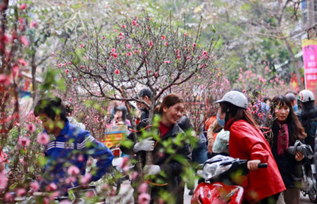 Hình minh họa. Nguồn: ĐSPL 