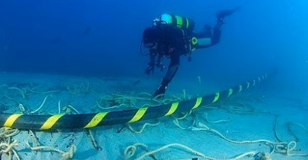 Ảnh minh họa. Nguồn Internet